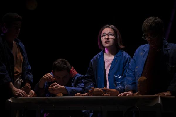 MARE DE SUCRE, 210513