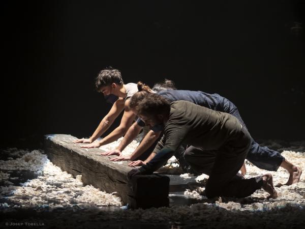 ROJOS, by MIQUEL BARCELONA, 220120