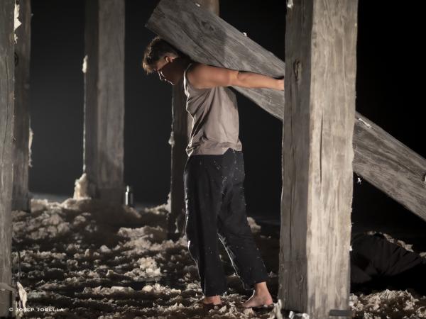 ROJOS, by MIQUEL BARCELONA, 220120