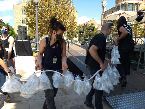 MO 200919 SIEMPREVIVA MO 13