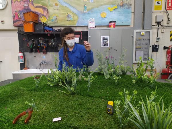 MO 210513 MAREDESUCRE MO 10